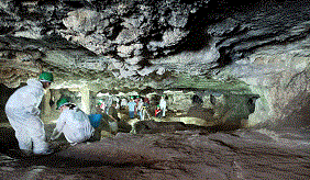 Oferta de plazas para el Campo de Voluntariado
              Juvenil de arqueología en la Cueva de Malalmuerzo