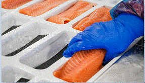 La Red Eures del SAE informa de oferta para trabajar en una
        piscifactoría de salmones en Noruega